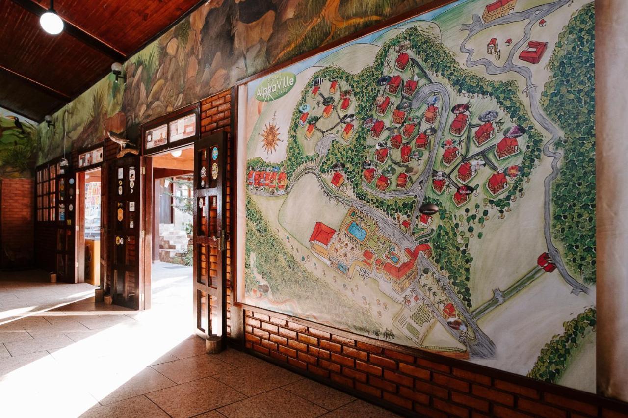 Alojamento de Turismo Rural Alpha